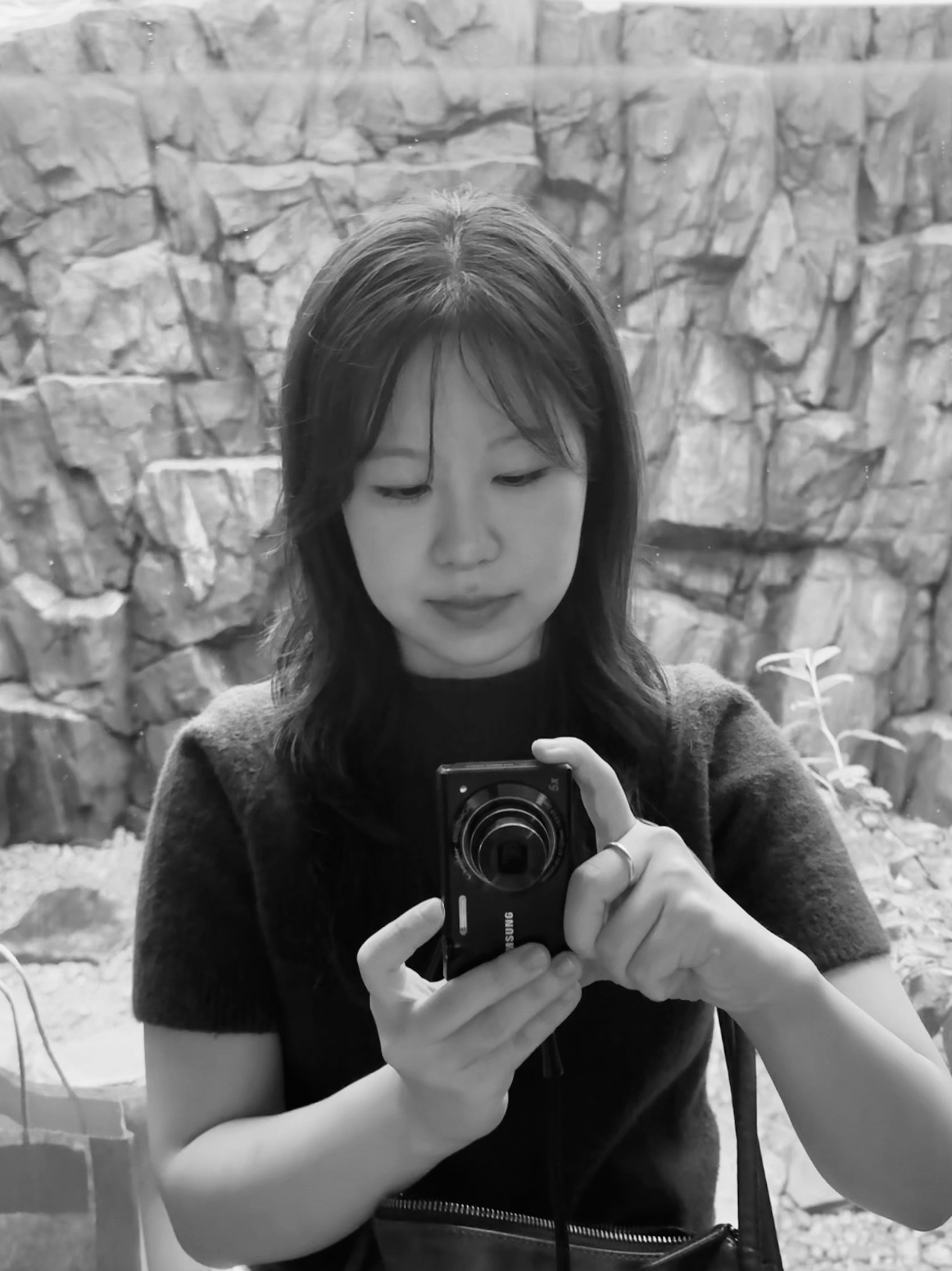Lee Somin